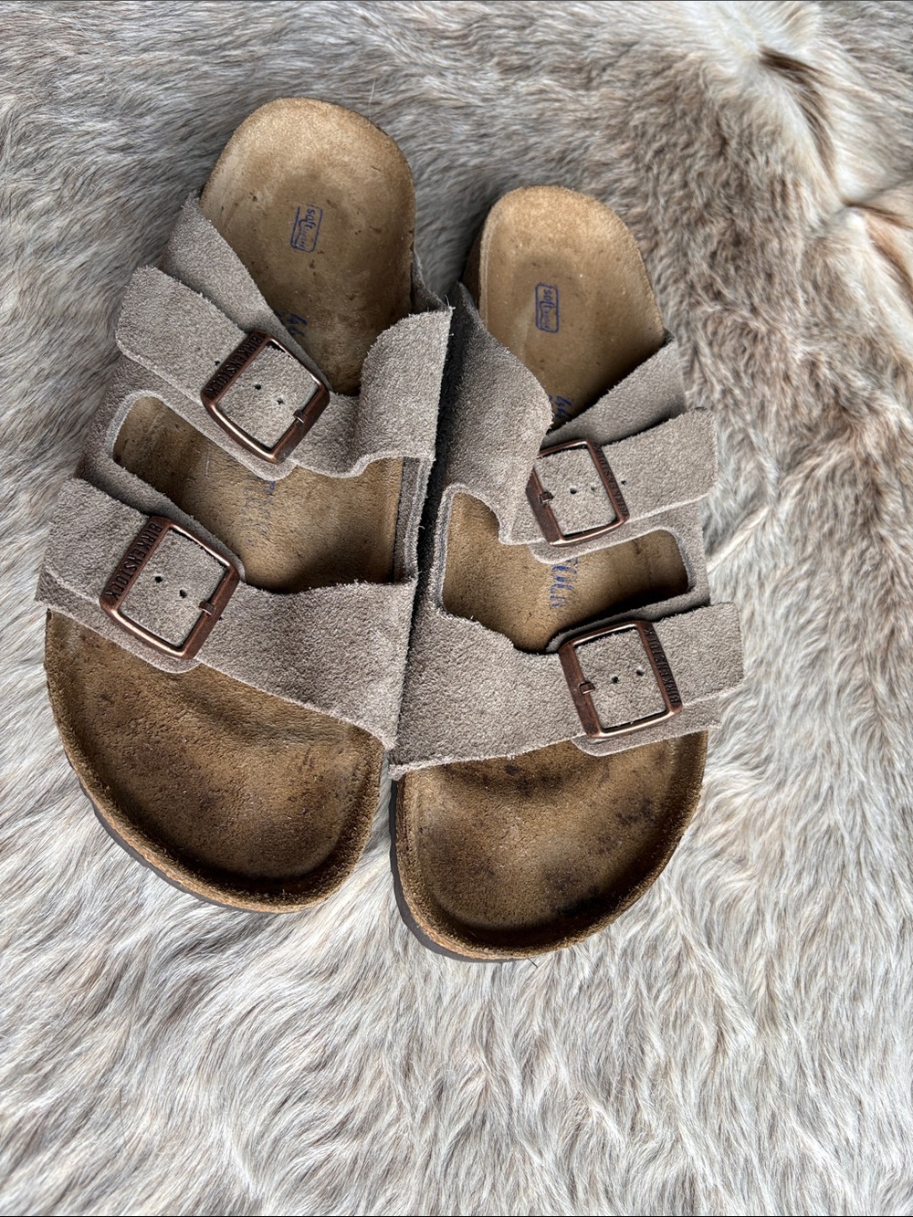 Birkenstock Arizona Softbed Suede in Taupe size 44 - Picture 4 of 7